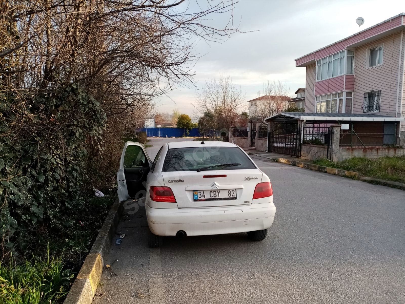 Fotoğraf
